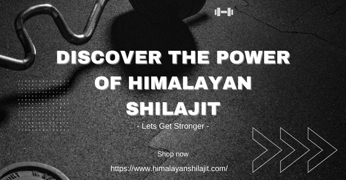 Benefits of Pure Himalayan Shilajit