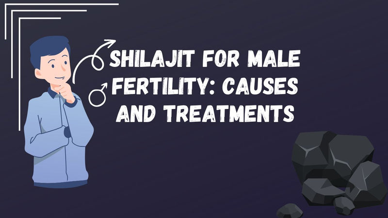 Shilajit For Male Fertility