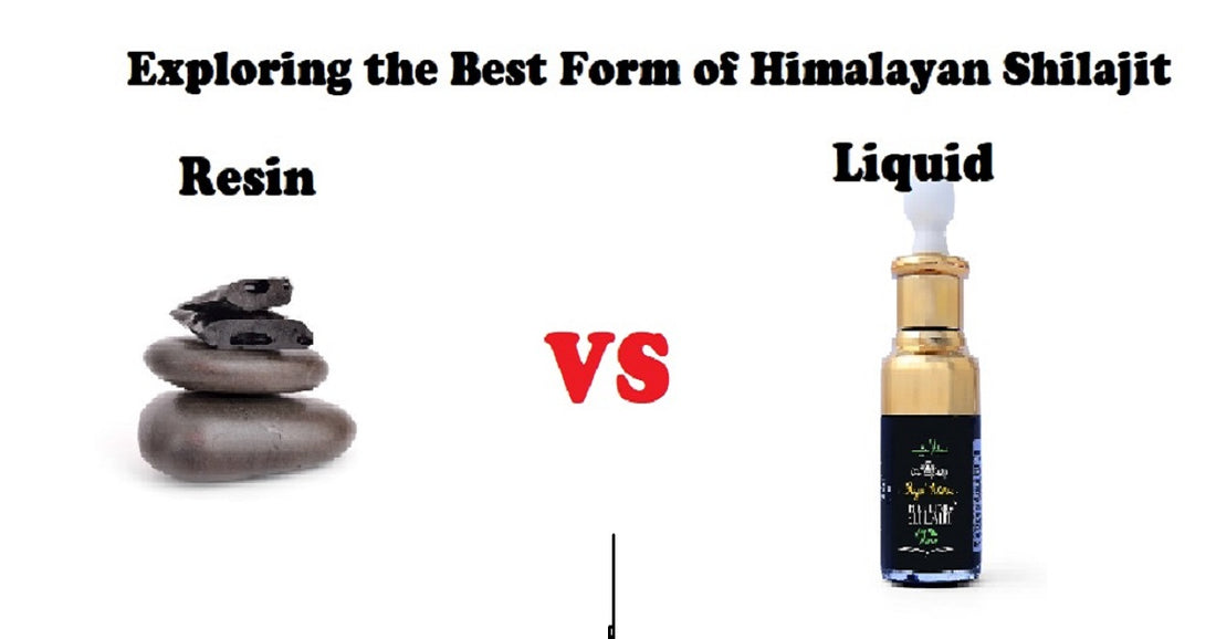 Exploring the Best Form of Himalayan Shilajit: Resin or Liquid?