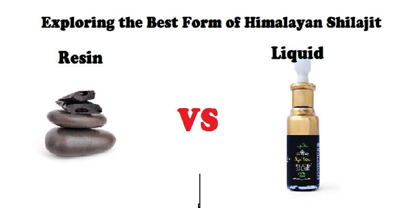 Exploring the Best Form of Himalayan Shilajit: Resin or Liquid?