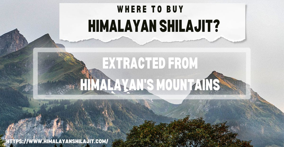  Buy Himalayan Shilajit
