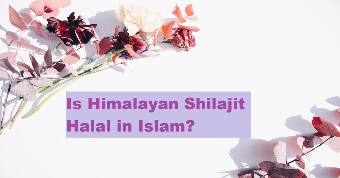 Is Himalayan Shilajit  Halal in Islam ?