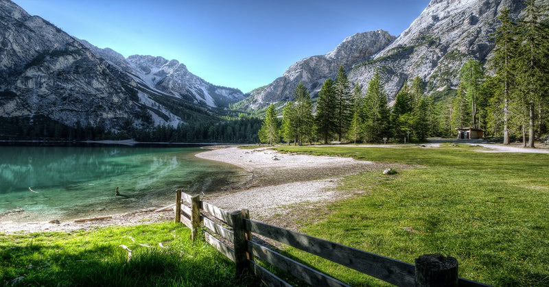 Unveiling the Purity: Is Pure Himalayan Shilajit Safe?