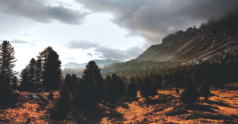 Benefits of Pure Himalayan Shilajit: Unlocking Nature's Potent Secret