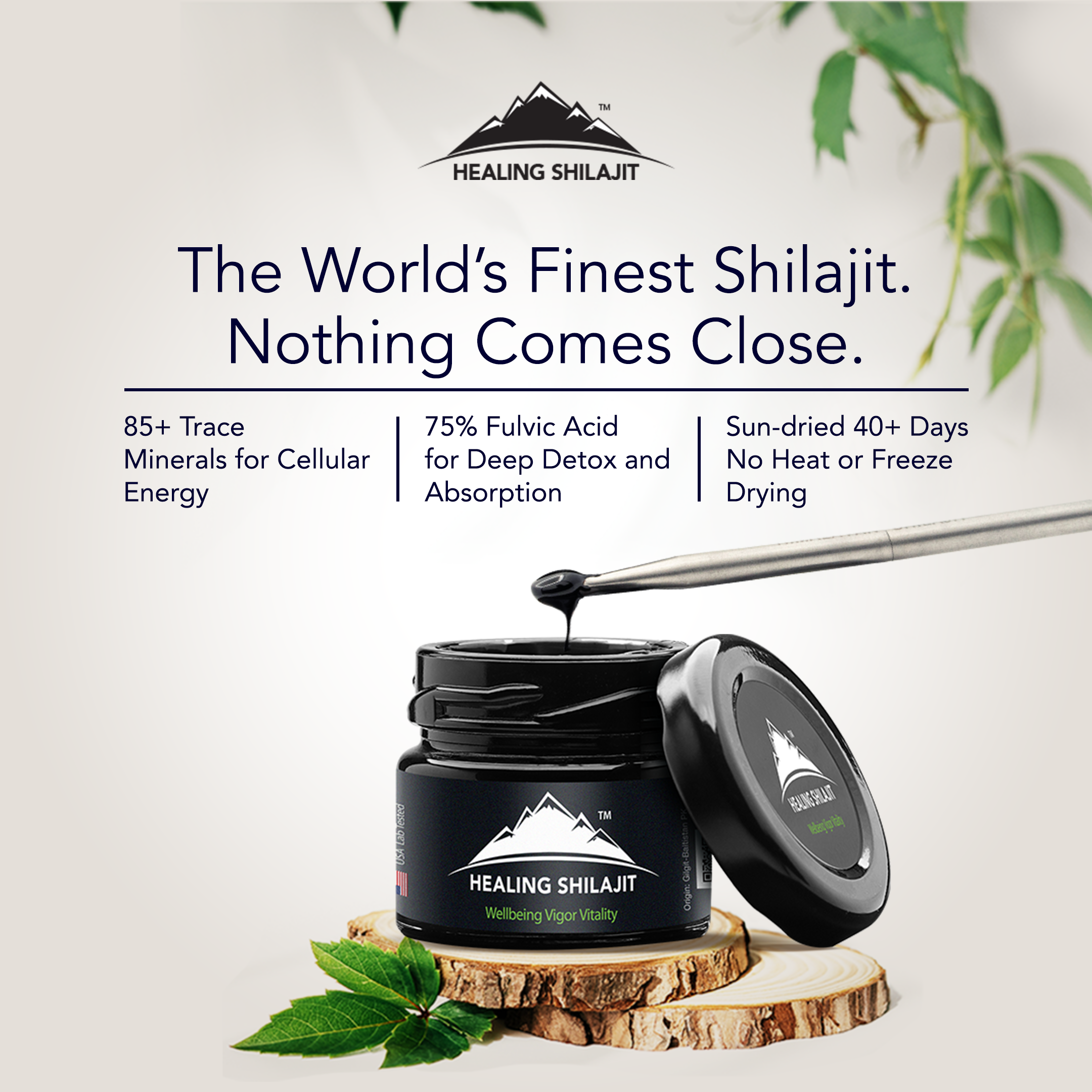 100g - Shilajit Resin | 200 servings – Himalayan Shilajit