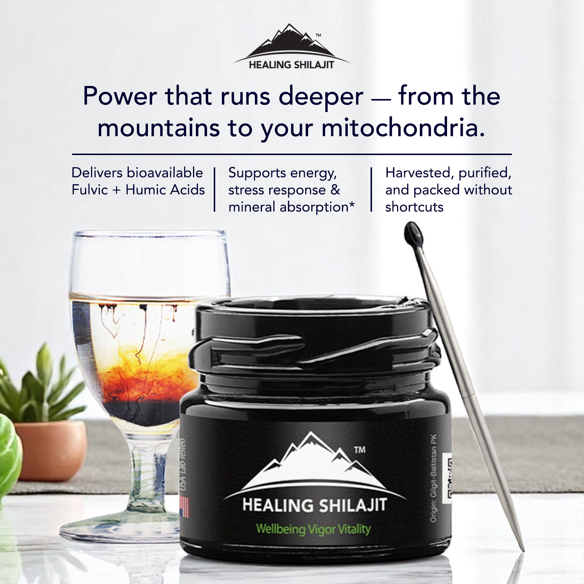 Himalayan Shilajit drops