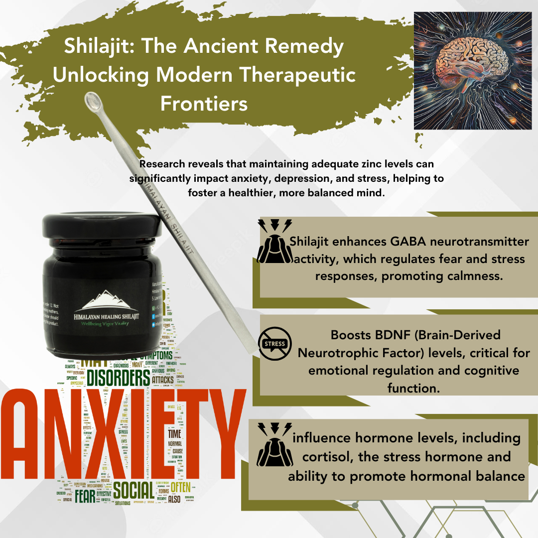 Shilajit Resin - 500g | 1000 Servings