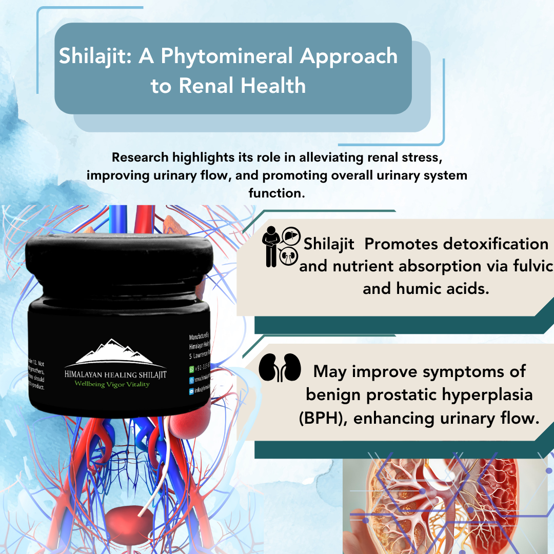 Shilajit Resin - 500g | 1000 Servings
