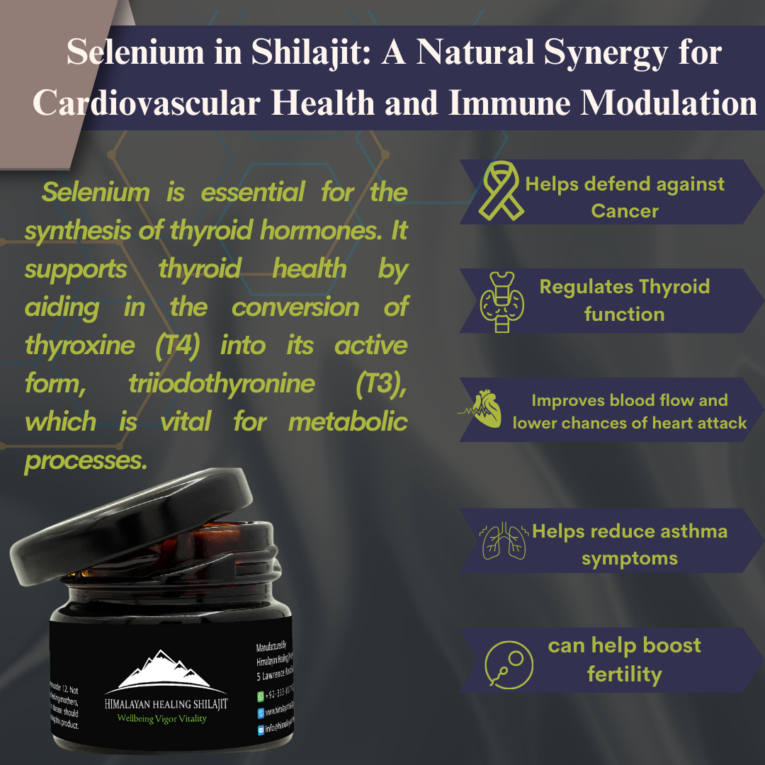 Shilajit Resin - 500g | 1000 Servings